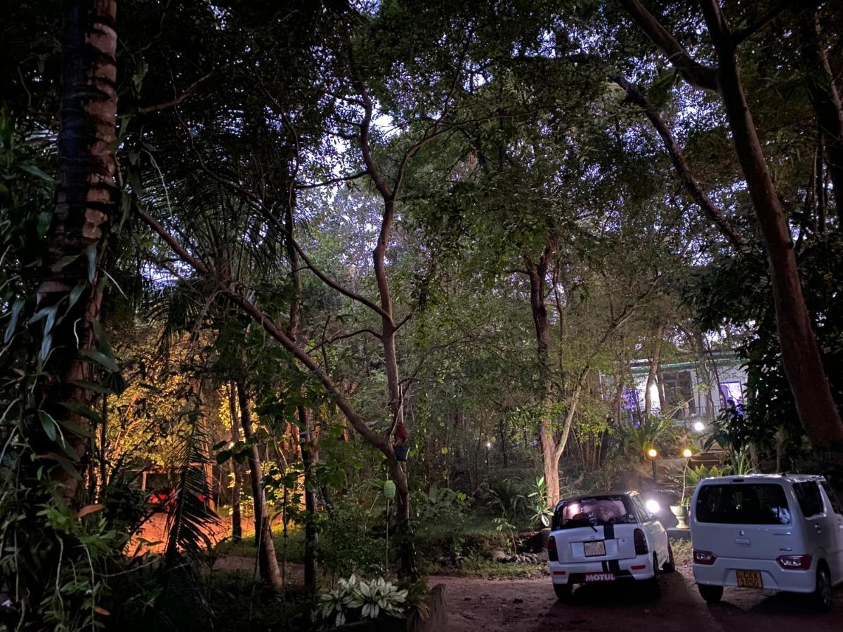 Green House Resort Sigiriya Exterior foto
